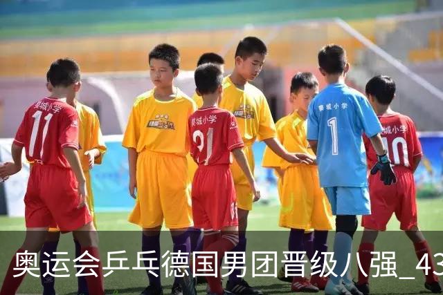 奥运会乒乓德国男团晋级八强 43岁波尔首秀获胜